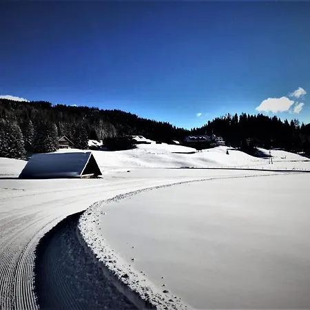 شقة Alpenstille *