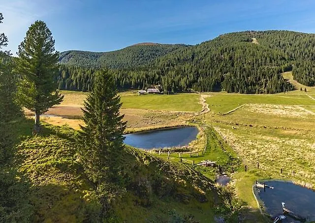 Alpenstille Apartament