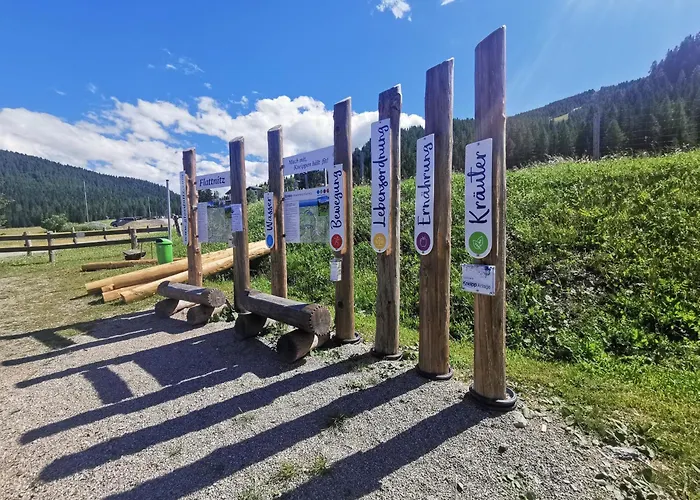 Alpenstille Flattnitz